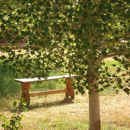 Masia El Carcaba - Moli Del Pont. Cornudella de Monsant Eksteriør bilde