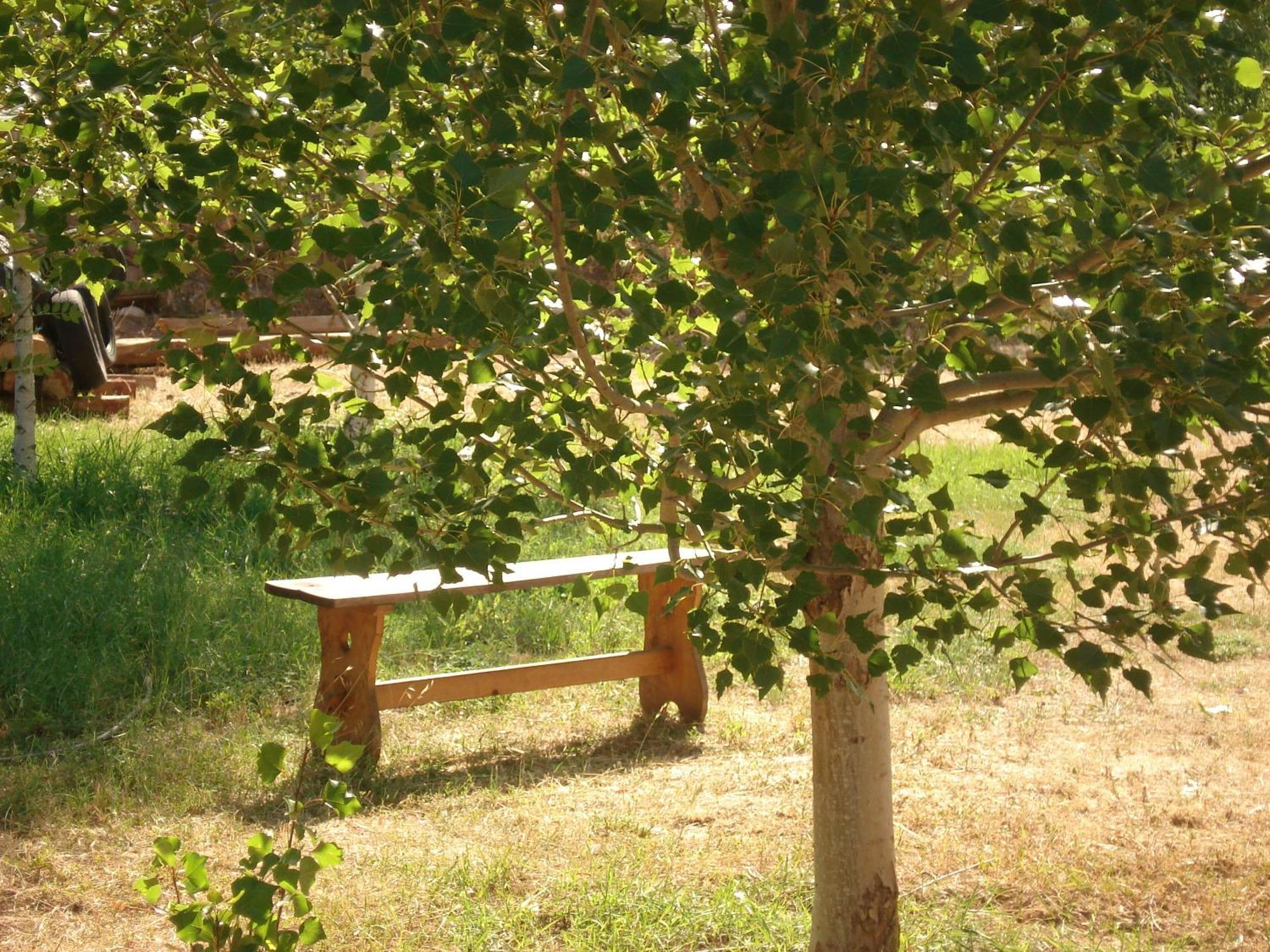 Masia El Carcaba - Moli Del Pont. Cornudella de Monsant Eksteriør bilde