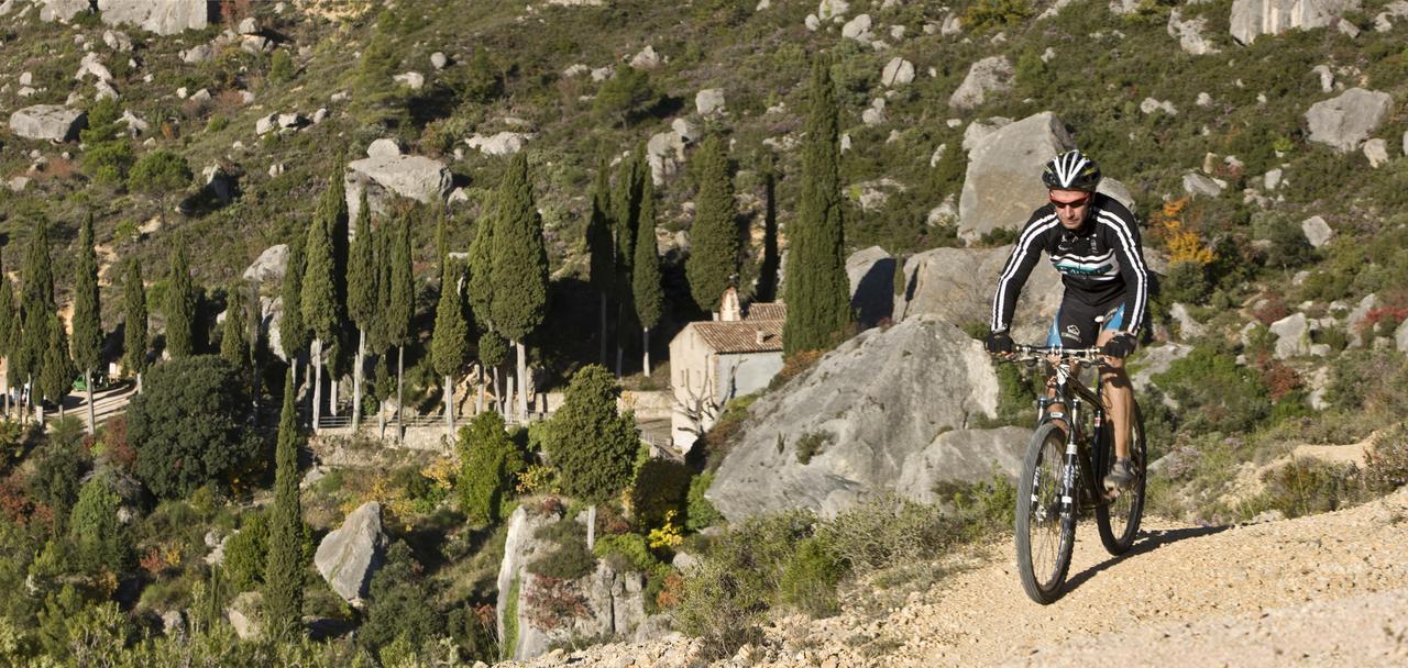 Masia El Carcaba - Moli Del Pont. Cornudella de Monsant Eksteriør bilde